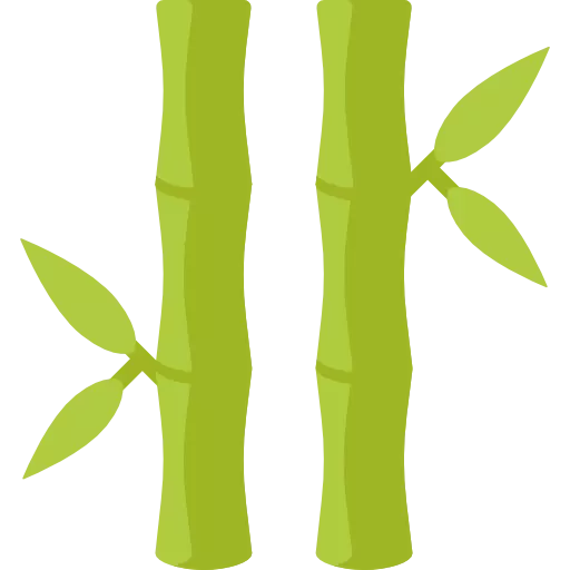 bamboo Stick